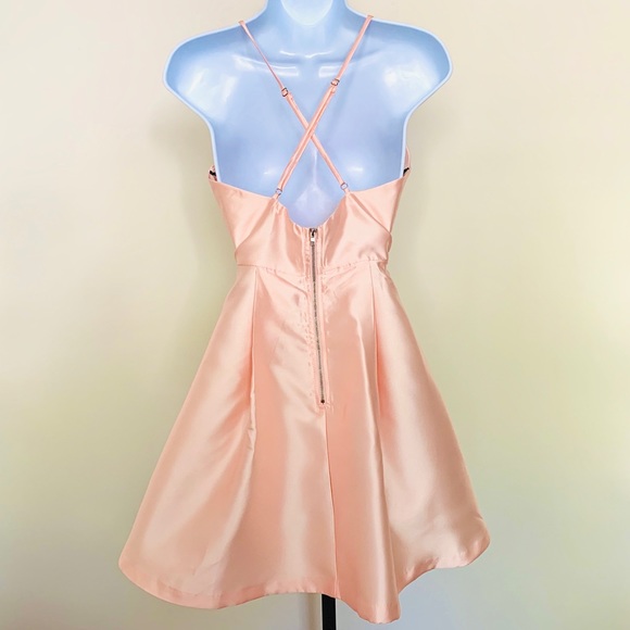 Blush Fit & Flare Dress - Picture 3 of 7